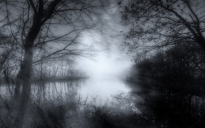 Misty lake surrounded by bare trees in monochrome