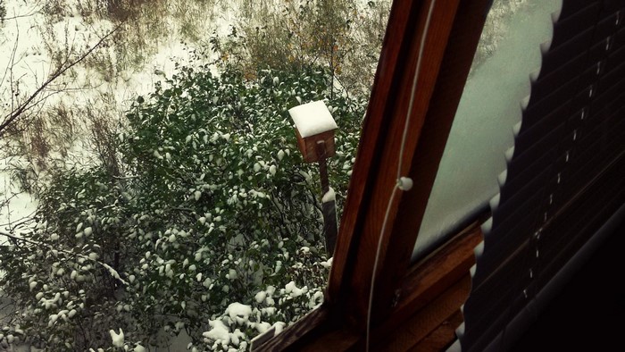 Birdhouse in the snow outside a window