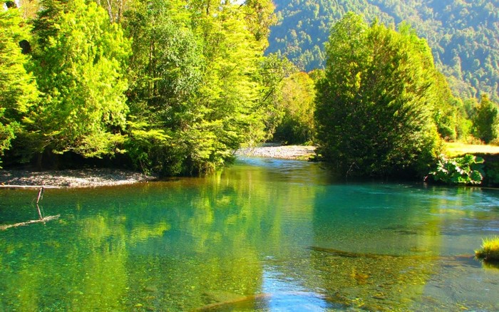 Emerald river flowing through a lush green forest with mountains in the background