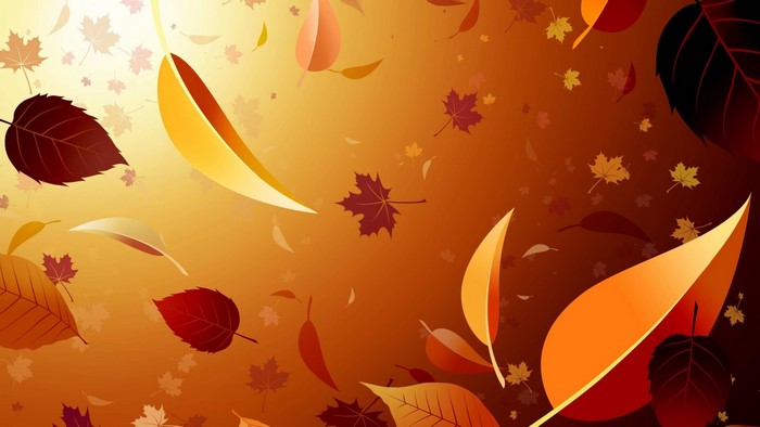 Autumn leaves falling with sunlight