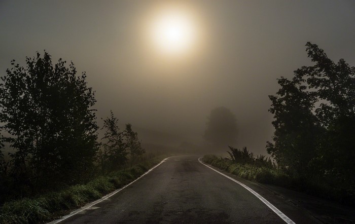 Road through fog with sunlight
