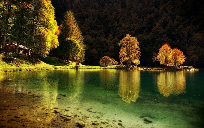 Autumn Trees Reflecting on a Serene Lake in France