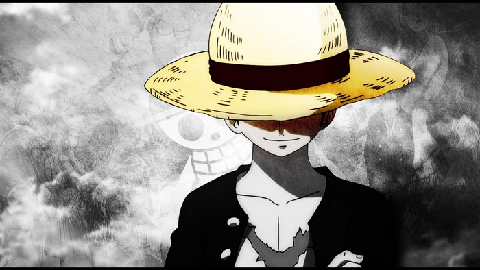Monkey D. Luffy from One Piece wearing a straw hat