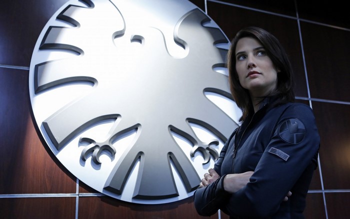 Maria Hill from Agents of S.H.I.E.L.D.