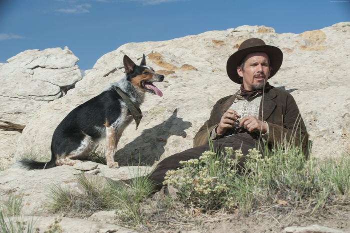 Ethan Hawke and dog in In a Valley of Violence