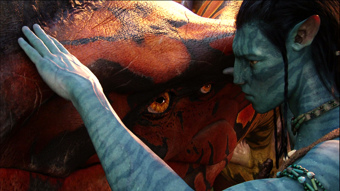 Avatar character touching a creature