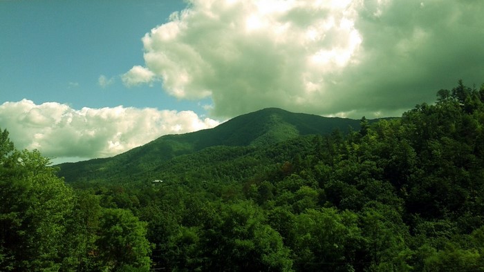 Morning View of Tennessee Smoky Mountains with Green Forests