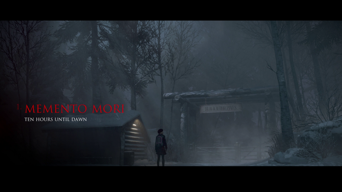 Memento Mori from Until Dawn