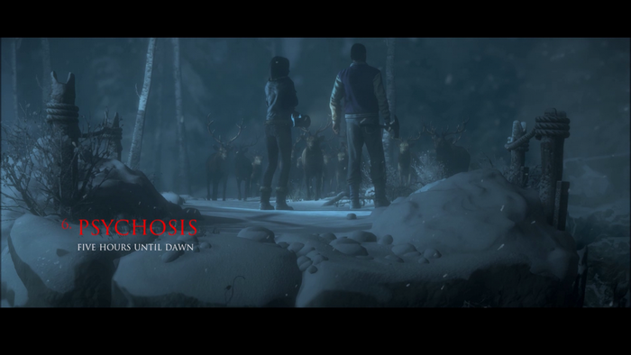 Until Dawn: Psychosis