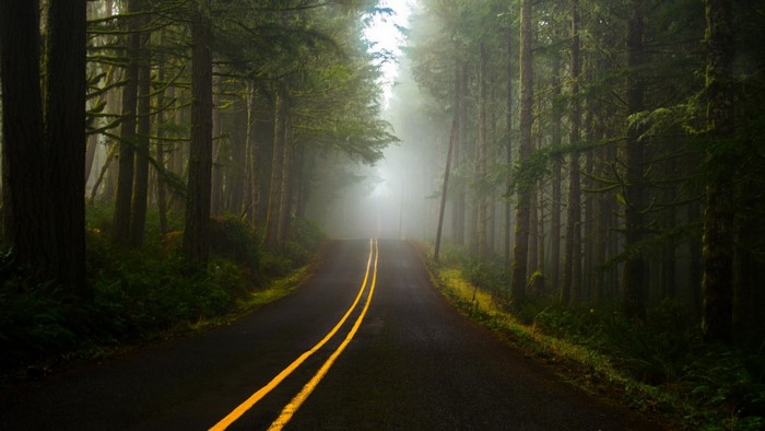 Road through a foggy forest with yellow lines
