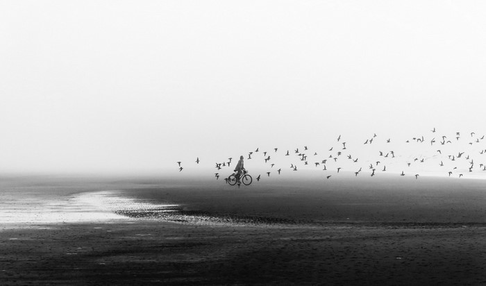 Person on bicycle with flock of birds over misty landscape