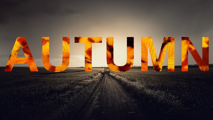 Autumn text over a dirt road in a field