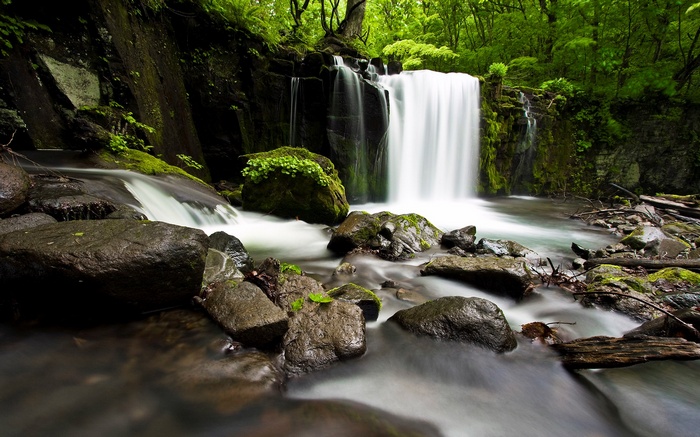 Waterfall in a lush green forest with mossy rocks