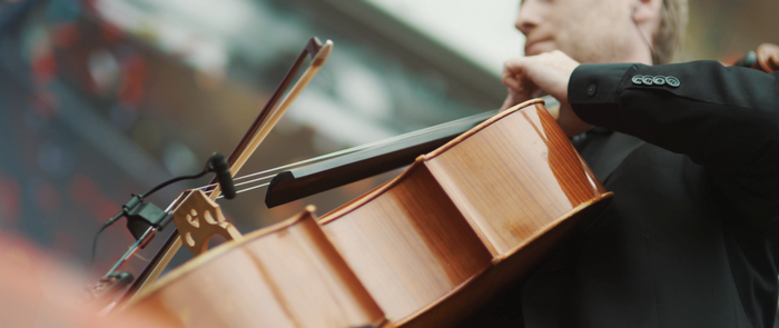 Musician playing cello at Tomorrowland