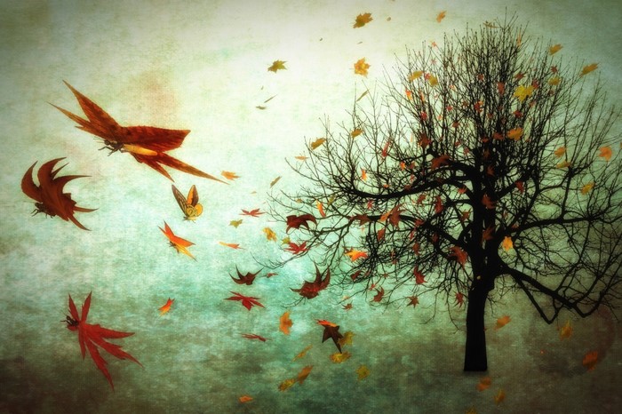 Autumn leaves and butterflies near a bare tree