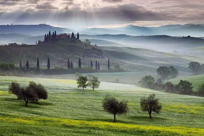 trees, landscape, mountains, Italy, hill, nature, grass, field, clouds ...