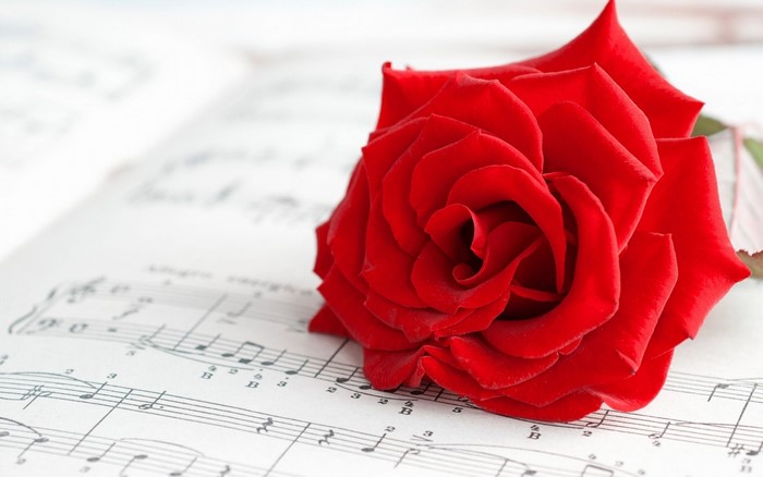 Red rose on sheet music
