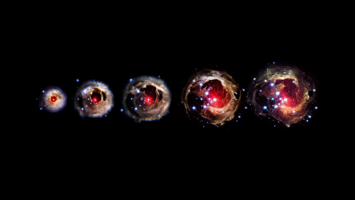 V838 Monocerotis stellar evolution progression