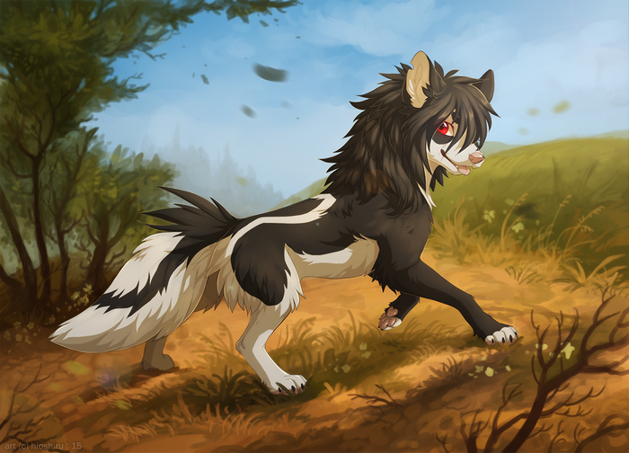 Furry creature running through a grassy field