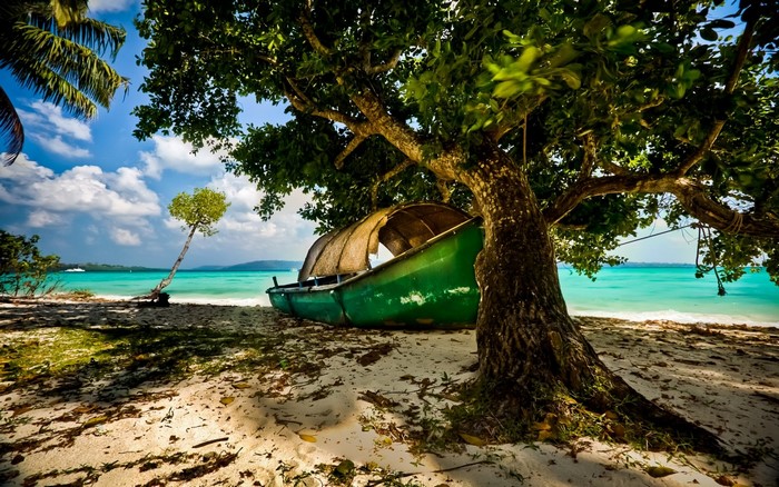 Green boat on a tropical beach under a tree