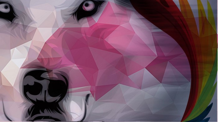 Geometric wolf illustration with rainbow mane