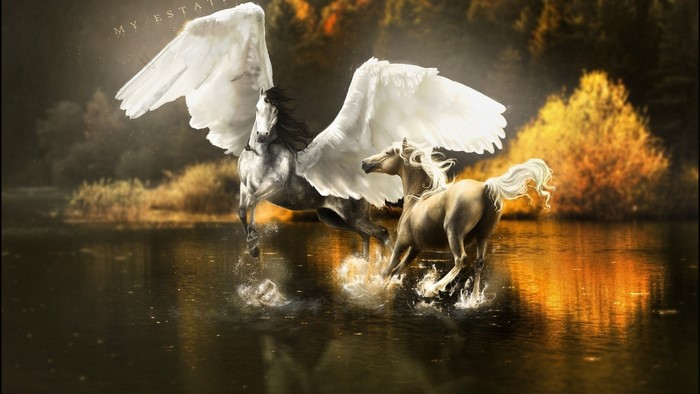 Pegasus and horse running through water