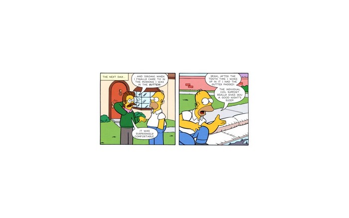 Homer and Ned Flanders from The Simpsons