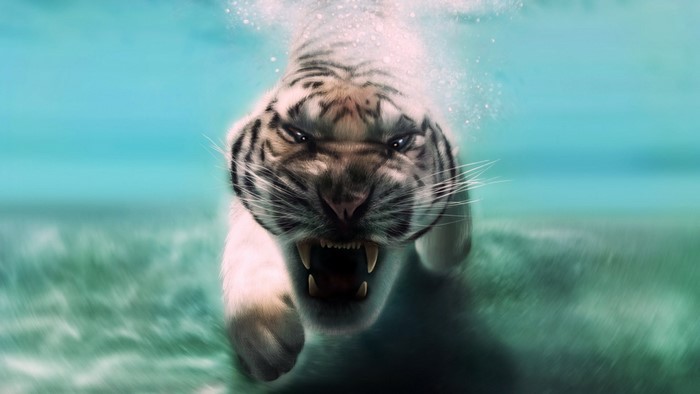 White tiger swimming underwater with mouth open