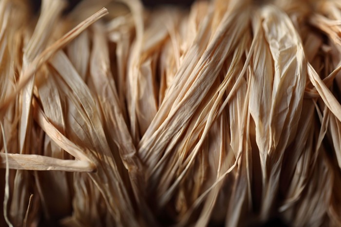 Close-up of dried raffia fibers