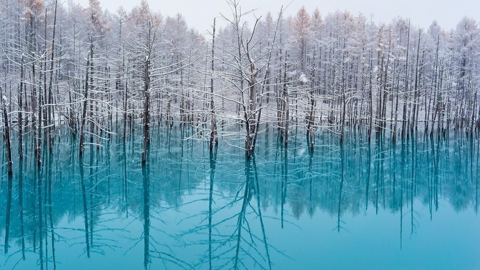 Blue pond with snow-covered trees and reflections
