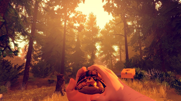Firewatch game with a turtle