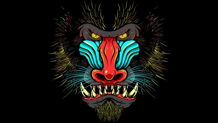 Illustration of a Mandrill's face with colorful markings
