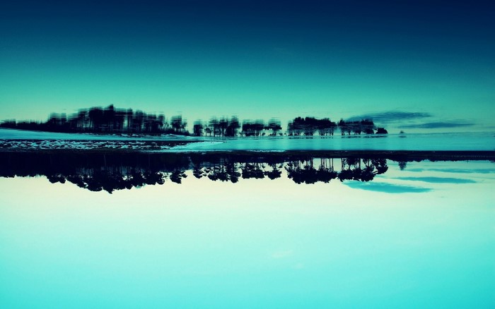 Reflection of trees on water at dusk