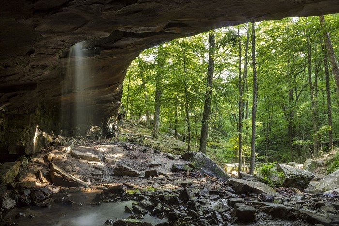 Cave with waterfall and forest landscape