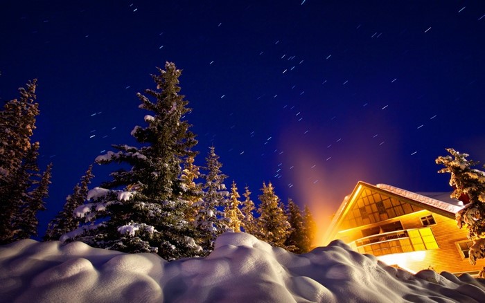 Snowy forest cabin under starry night sky