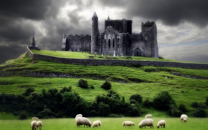 Rock of Cashel in Ireland with sheep grazing