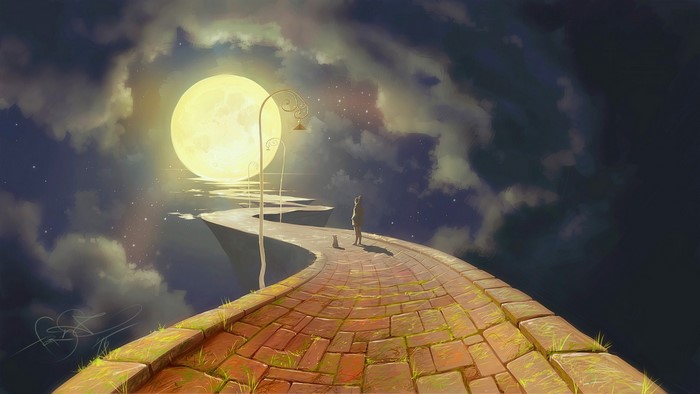 A person and cat on a path under the moon