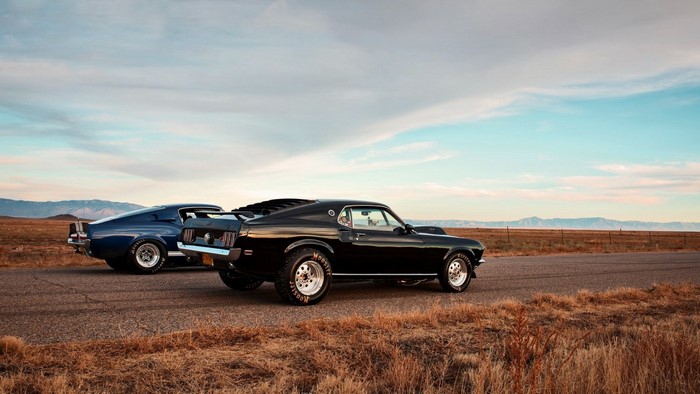 Two classic Ford Mustangs on a road