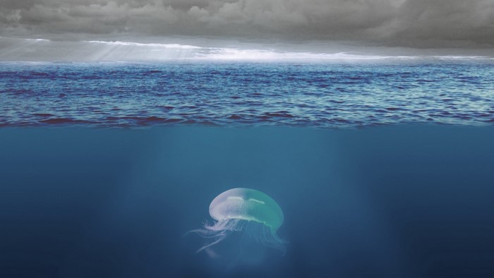 Jellyfish underwater with stormy sky and ocean waves