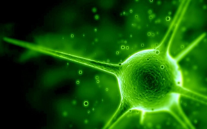 Green neuron cell with branches and bubbles