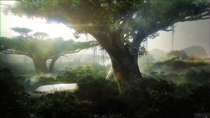 Airplane wreckage in a misty jungle with large trees