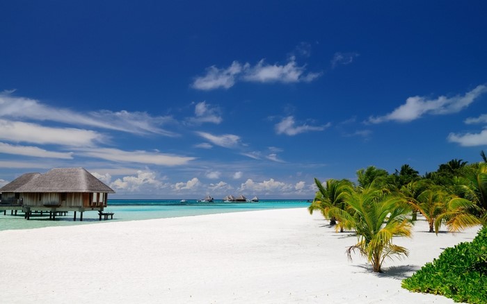 Tropical beach with overwater bungalows and palm trees