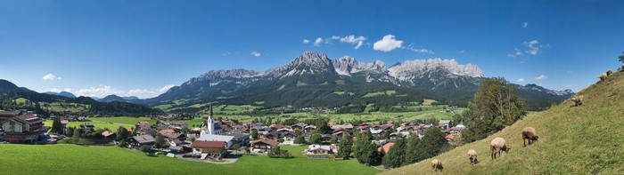Panoramic view of an Austrian village with the Alps and sheep