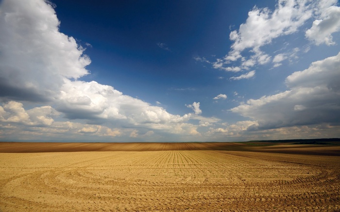 Plowed field under a cloudy blue sky
