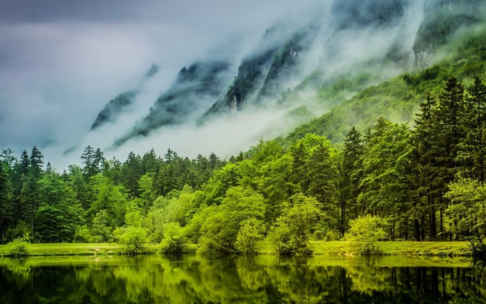 Misty mountains over a green forest and lake