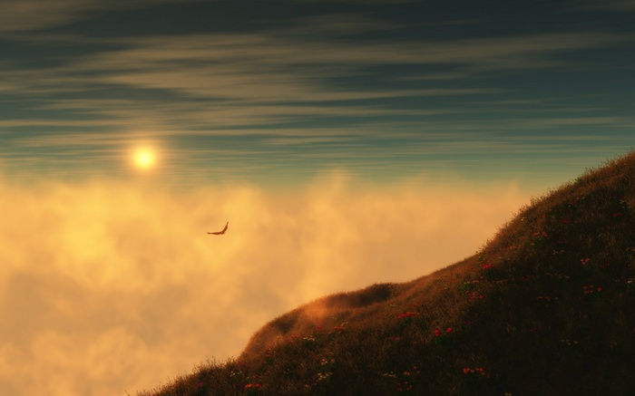 Bird flying over clouds at sunset