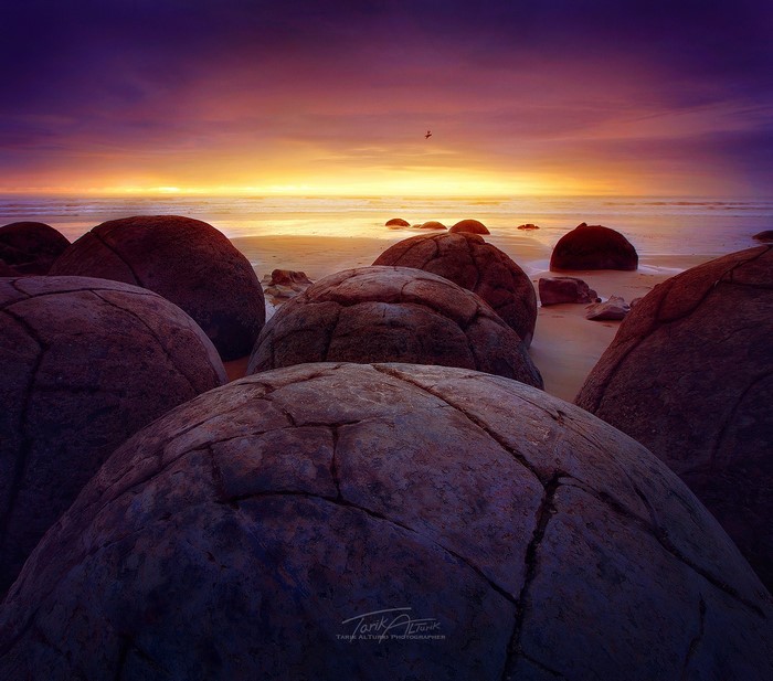 Moeraki Boulders at sunset, New Zealand