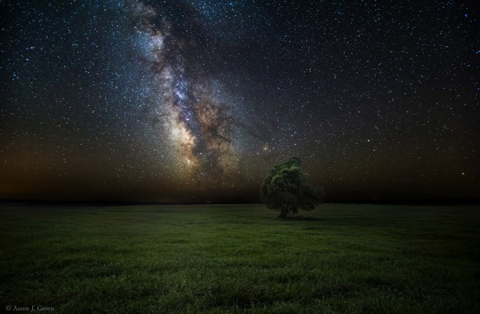 Milky Way galaxy over a grassy field with a lone tree
