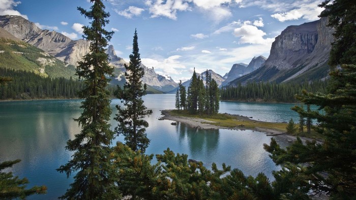 Serene Mountain Lake with Pine Trees and Island