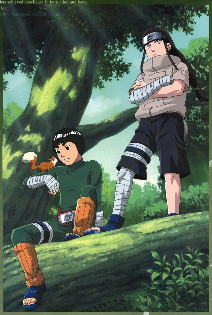 Rock Lee and Hyuuga Neji from Naruto Shippuuden in a forest